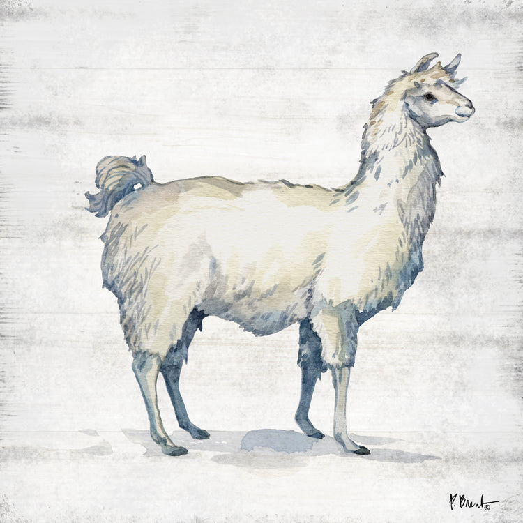 Farmhouse Llama I
