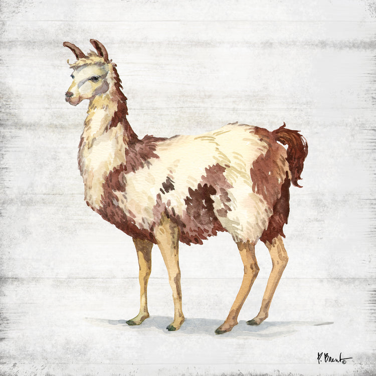 Farmhouse Llama II