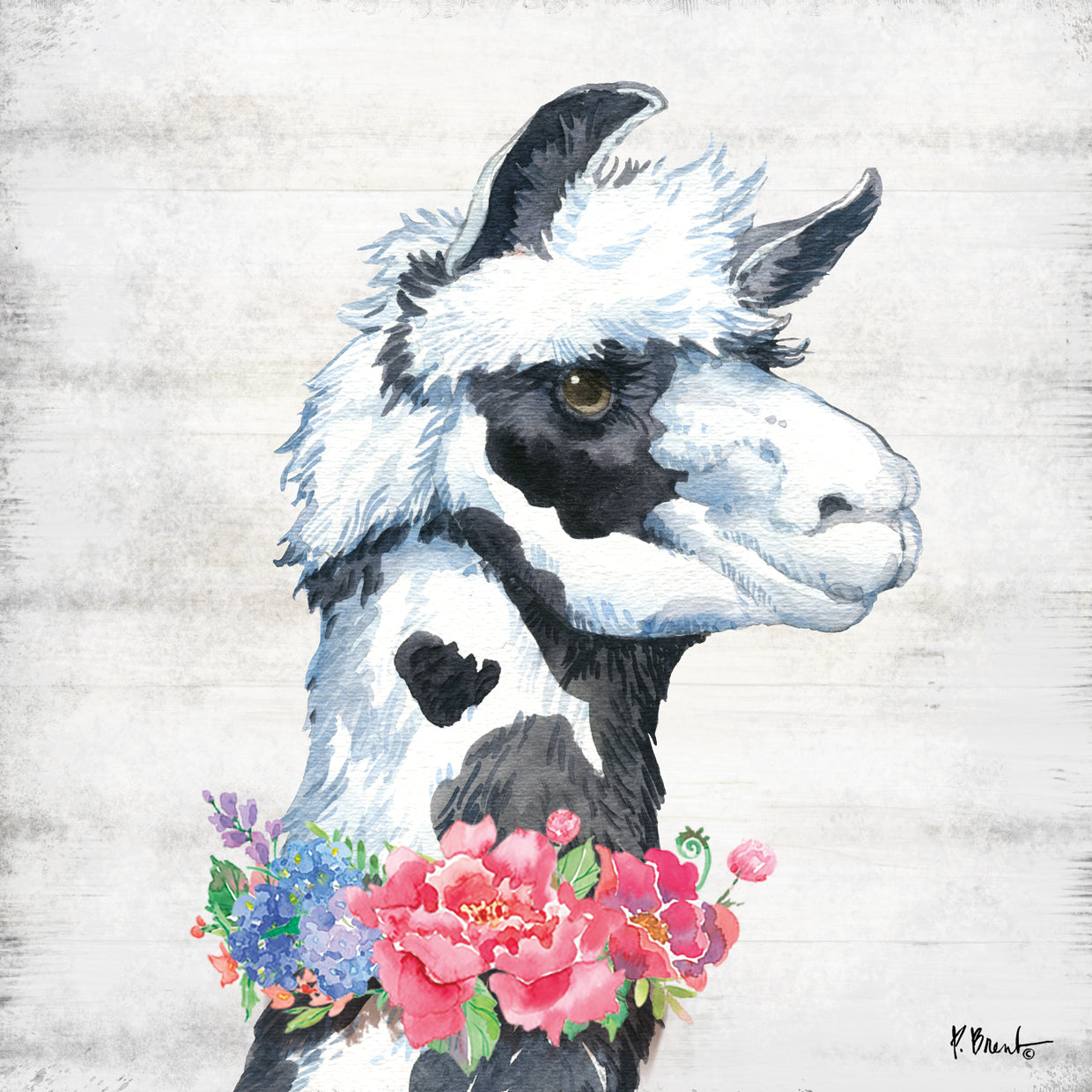 Llama Bloom I Lienzo