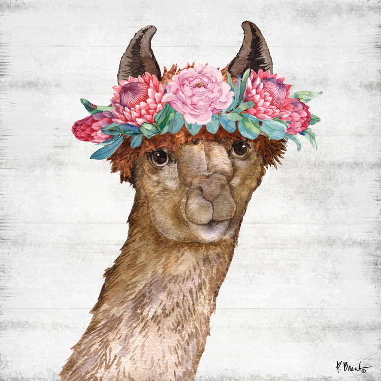 Llama Bloom II Lienzo