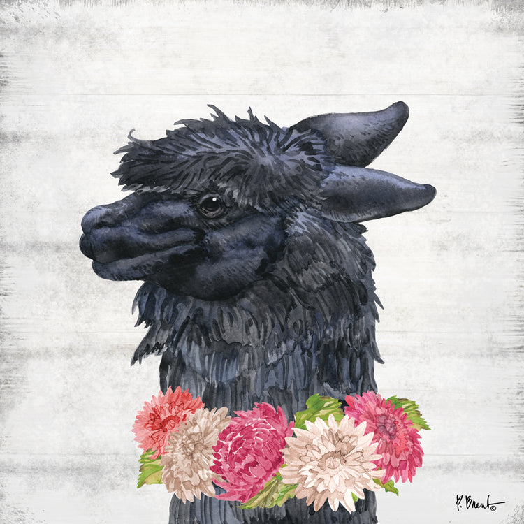Llama Bloom IV Lienzo