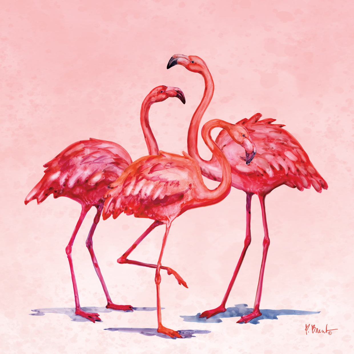 Hilo Flamencos IV Lienzo