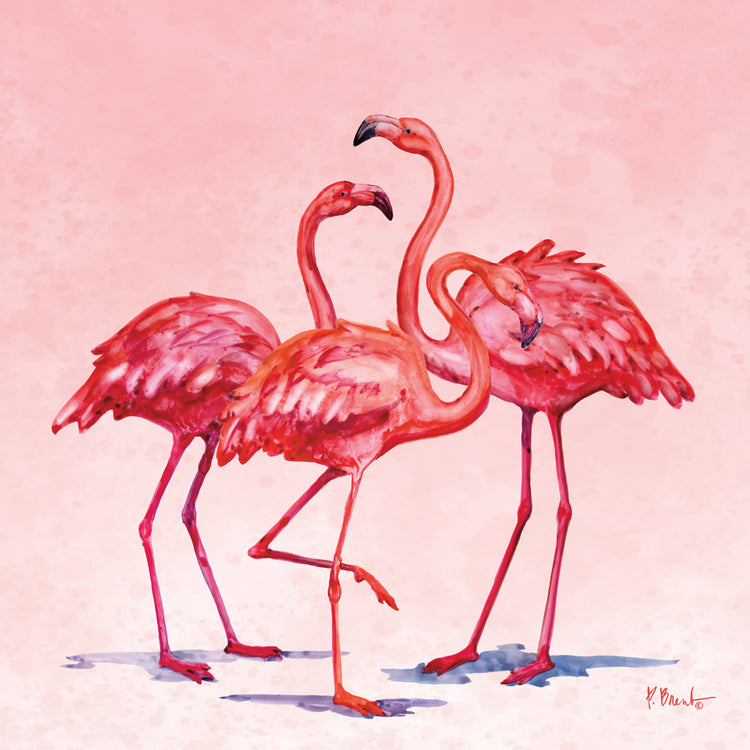 Hilo Flamencos IV Lienzo