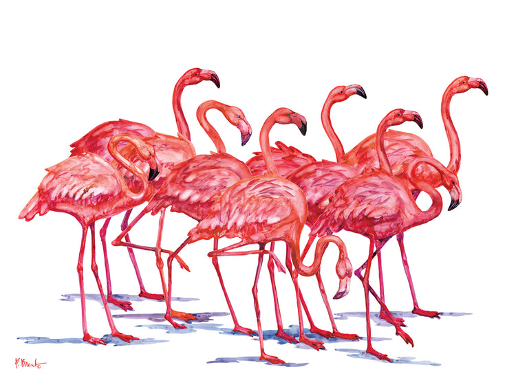 Hilo Flamingos Horizontal – Blanco Lienzo