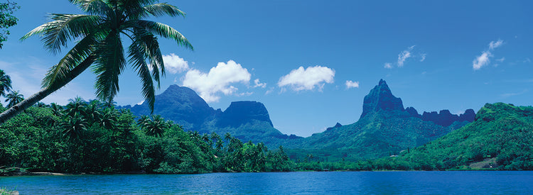 Lush Tropical Tahiti