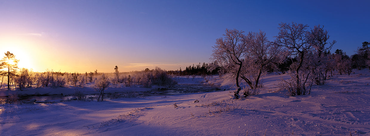 Invierno de blues nórdico Lienzo