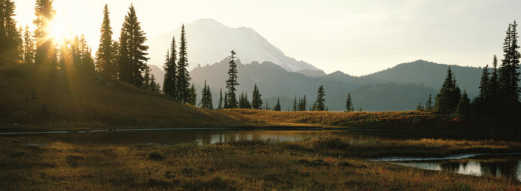 Hermoso Monte Rainier Lienzo