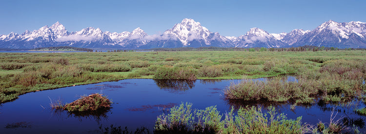 Pico Teton azul cristalino Lienzo