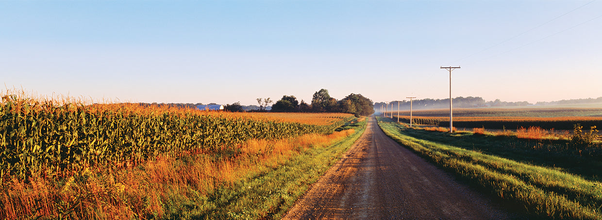 Campo de maíz del país Lienzo