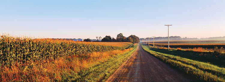 Campo de maíz del país Lienzo