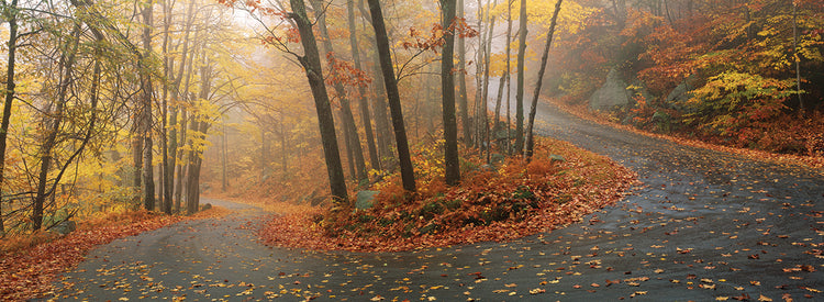 New Hampshire Autumn