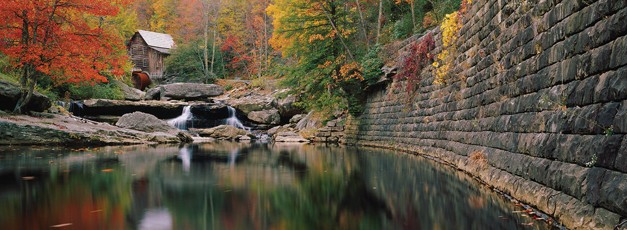 Country Forest Watermill