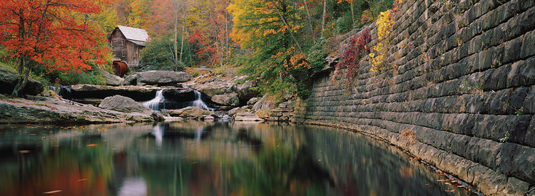 Country Forest Watermill