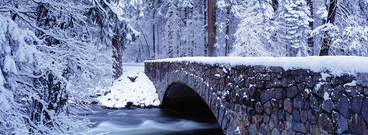 Puente del bosque de invierno Lienzo