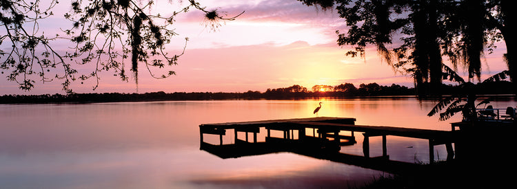 Good Morning Orlando