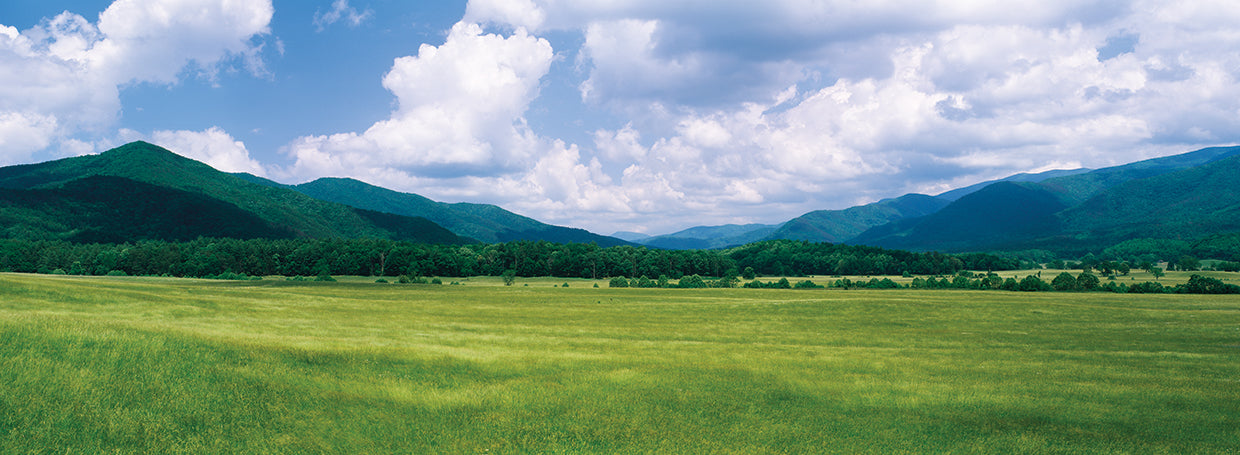 Cades Cove Smoky Mtns