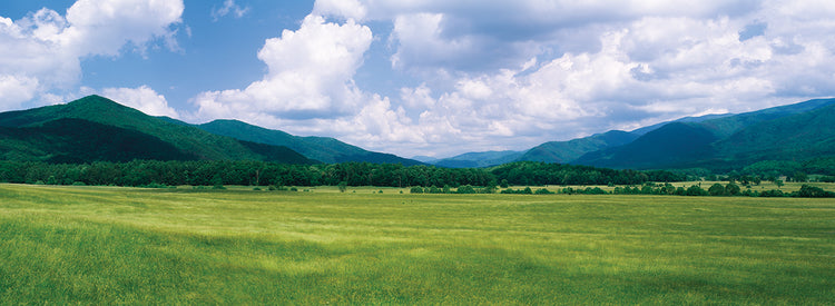 Cades Cove Smoky Mtns