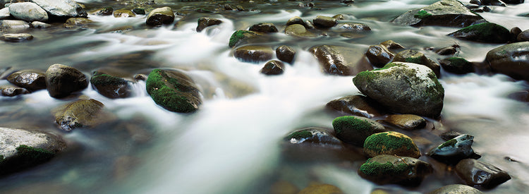 Rocas de río ahumado Lienzo