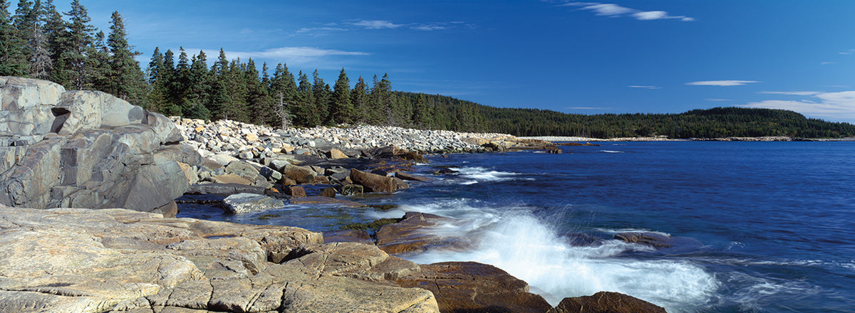 Acadia Rocky Coast