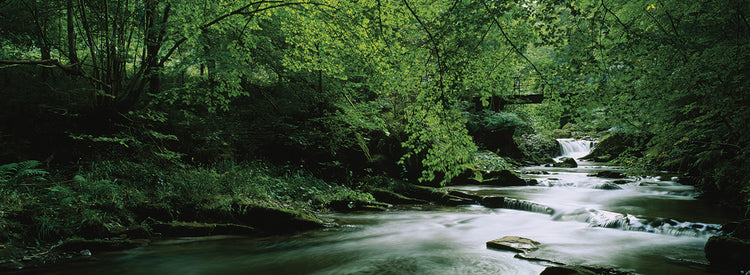 Río del bosque escocés Lienzo