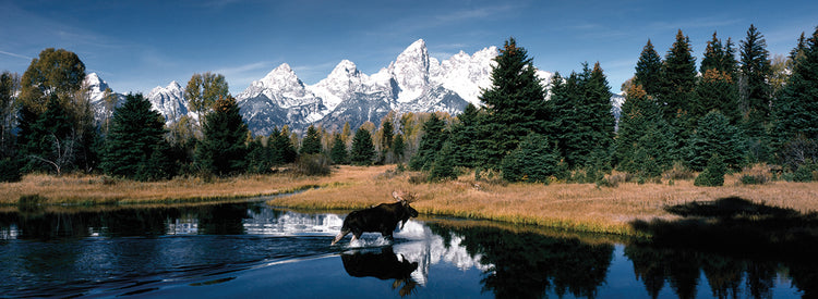 Grand Tetons Pond