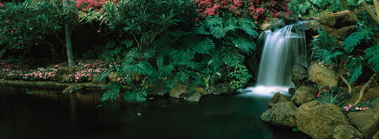 Cascada fresca de Maui Lienzo