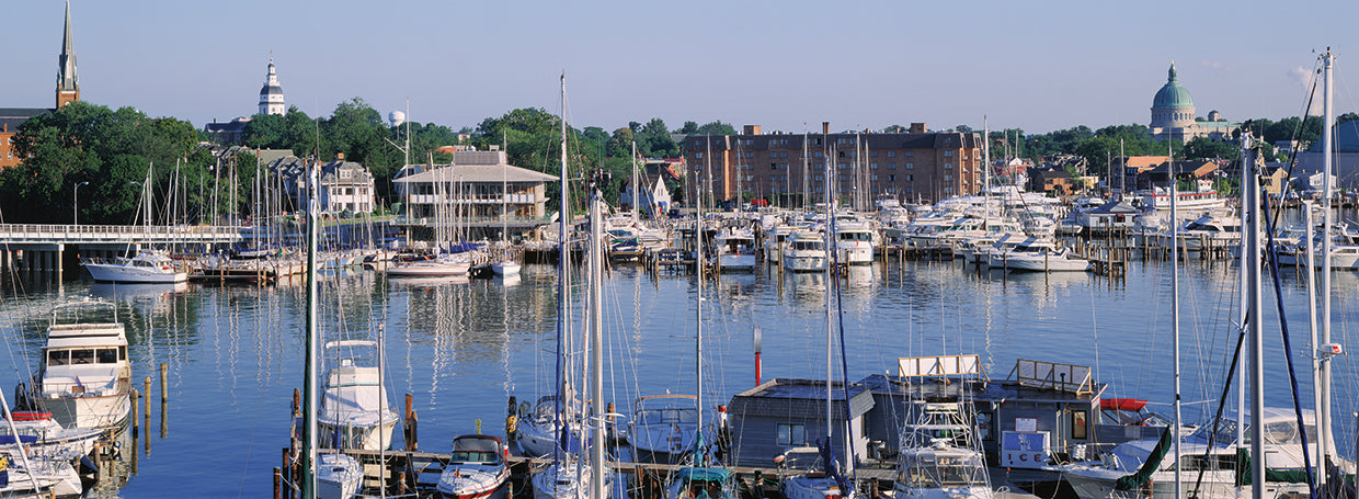 Yates de Annapolis Lienzo