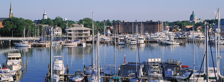 Yates de Annapolis Lienzo