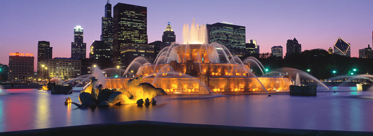 Fuente de chicago Lienzo