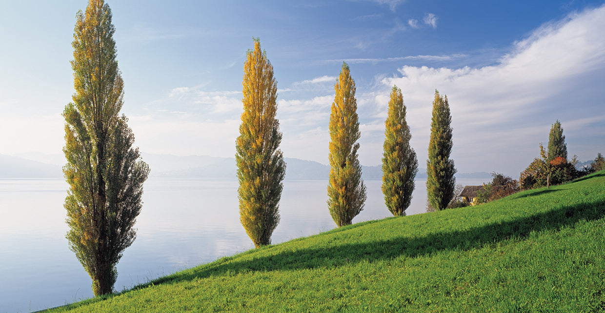 Lake Zug Switzerland