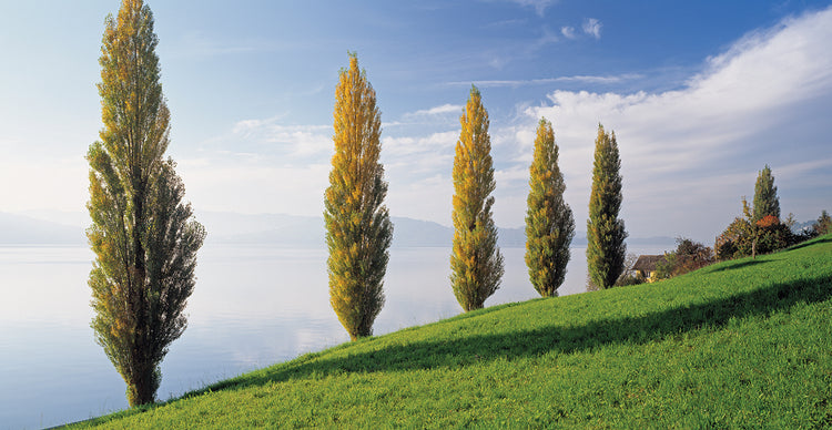 Lake Zug Switzerland