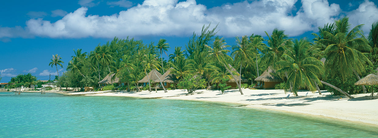 Palmas de Moana Beach Lienzo