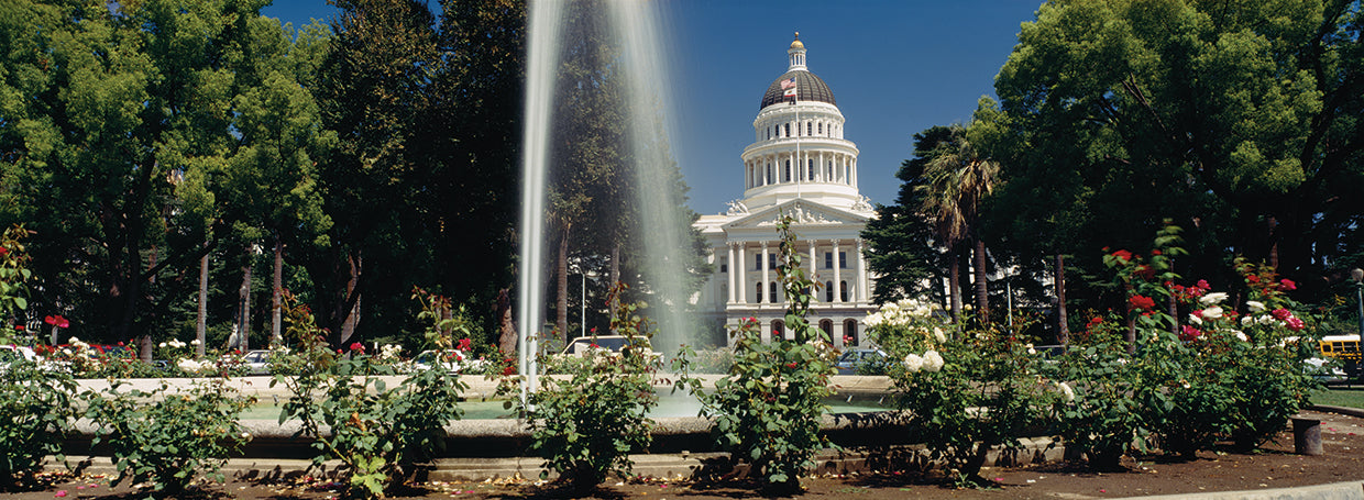 Fuente de sacramento Lienzo