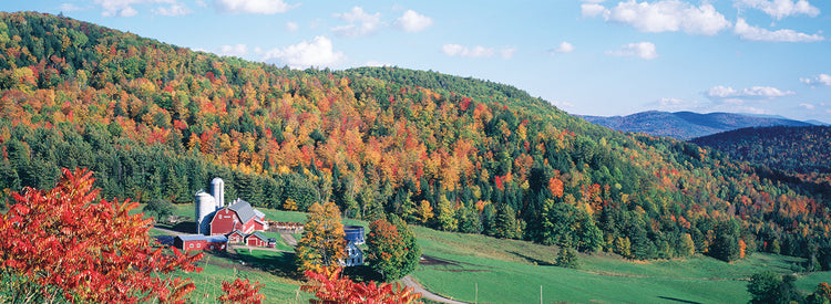 Vermont Hillside Farm