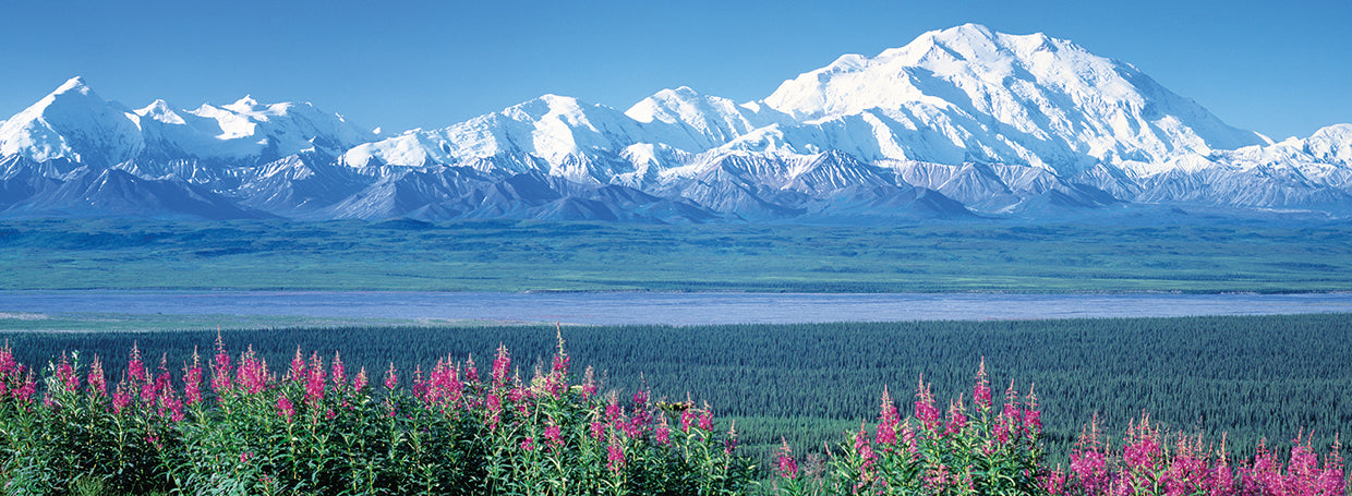 Lago Denali Alaska Lienzo