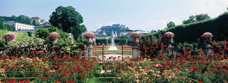 Flores del jardín de Salzburgo Lienzo