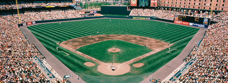 Béisbol de baltimore Lienzo