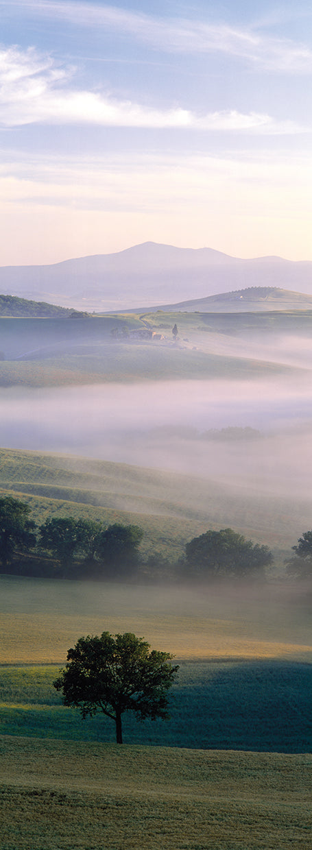 Misty Tuscan Fields