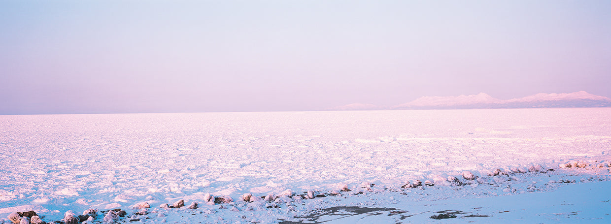 Japón nevado Lienzo