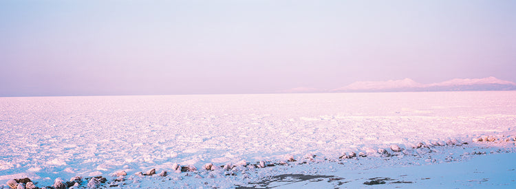 Japón nevado Lienzo