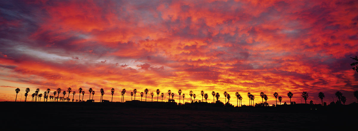 San Diego Sunrise