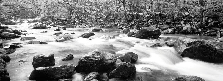 Rocas de río corriendo Lienzo