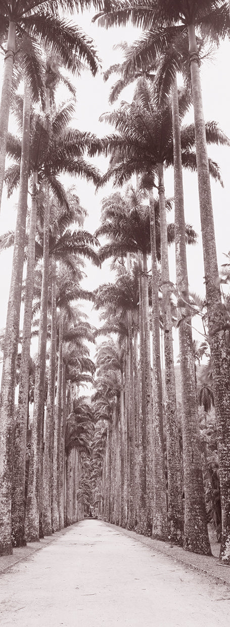 Camino del jardín de Río Lienzo