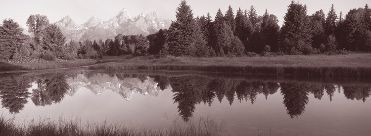 Sepia Grand Tetons Lienzo