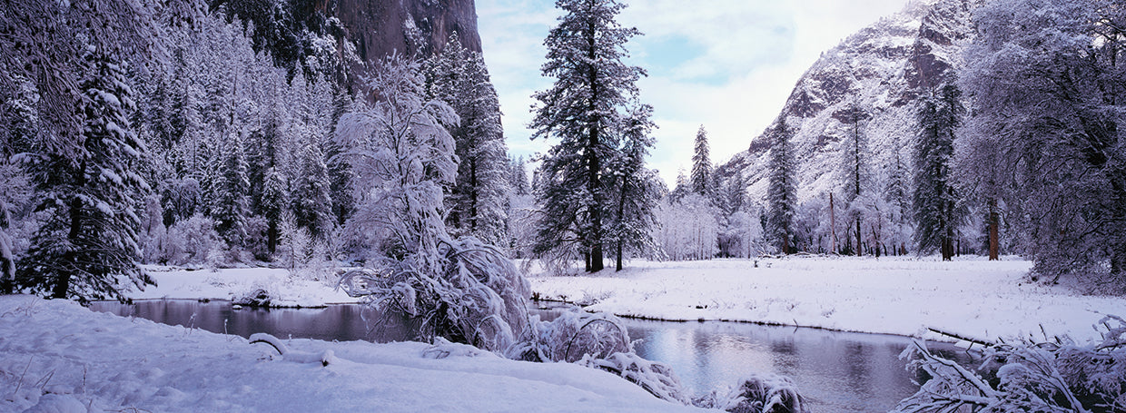 Río del valle de Yosemite Lienzo
