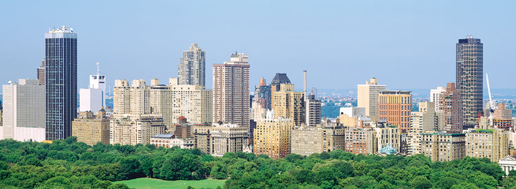 Central Park en la ciudad Lienzo