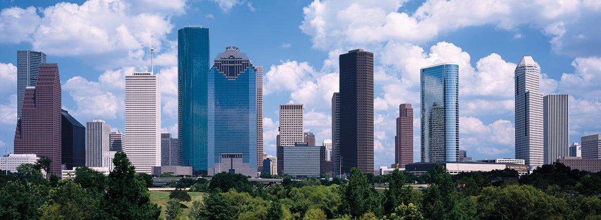Aspectos destacados de Houston Lienzo