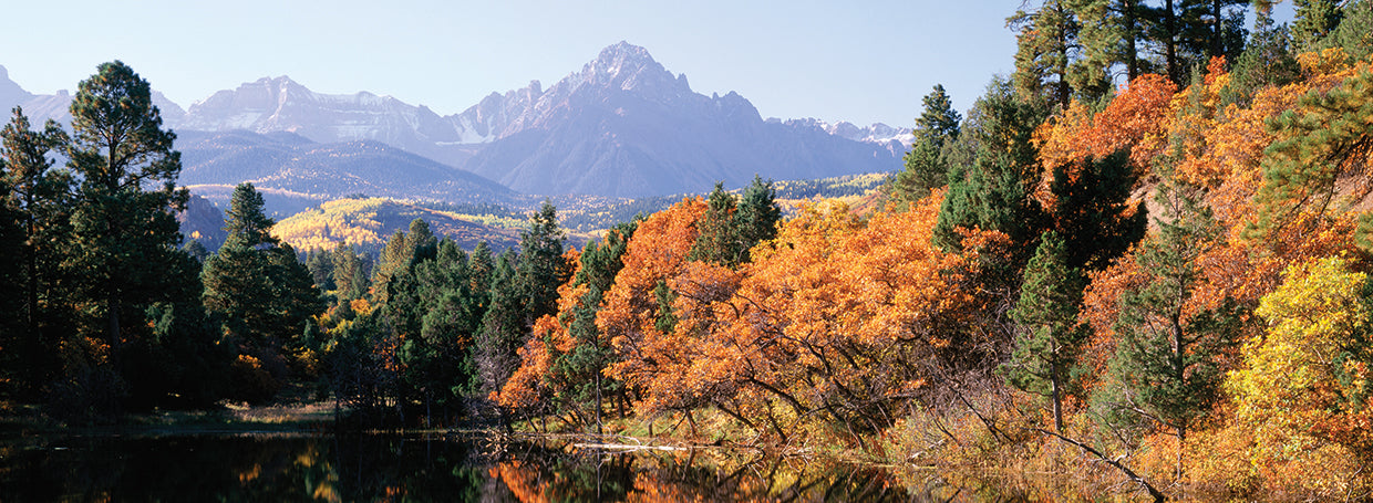 Panoramic Colorado Forest