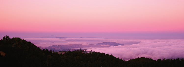 San Francicso Sunset