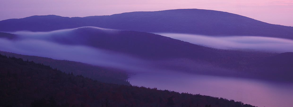 Niebla del lago Acadia Lienzo